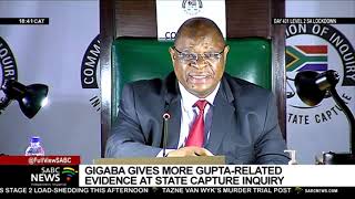 Celebrity State Capture Inquiry I Malusi Gigaba refutes claims made by his estranged wife Nomachule Ngoma Profile