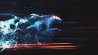 Mystic wolf logo animation intro ( ID-0007 )