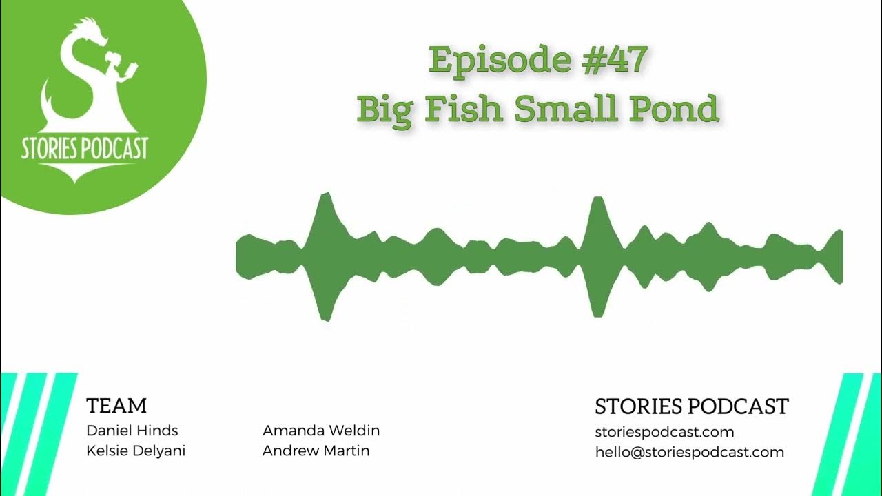 Big Fish Small Pond YouTube big-fish-small-pond-youtube