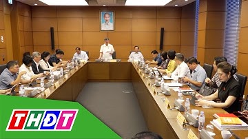 Thảo luận Tổ đánh giá kết quả thực hiện kế hoạch phát triển kinh tế - xã hội năm 2025 | THDT