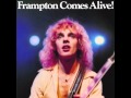 Peter Frampton: Frampton Comes Alive (full album)