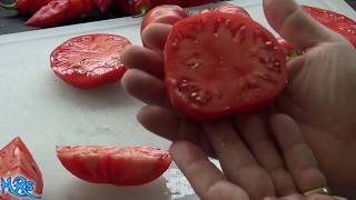 ⟹ Dester Tomato | Solanum lycopersicum | Tomato review 2018
