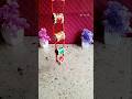 cardboard pipe hanging#homemade #diy #wall #craft by Sarita#