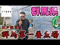 【群馬県】江戸観賞魚の群馬第一養魚場を初公開!!鶴崎楊貴妃アースアイType.ホワイトタイガーダイヤ.強紅帝アルビノ.ブラックランス.プリンスブルー.煌Part1.安らぎAQUAちゃんねる