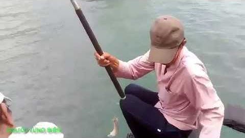 CÂU CÁ DÒ CÁ DÌA BẰNG MỒI CƠM NGUỘI Ở VỊNH VÂN PHONG | NGƯỜI VÙNG BIỂN