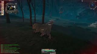 Entropia Universe