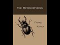 summary of The Metamorphosis by Franz Kafka