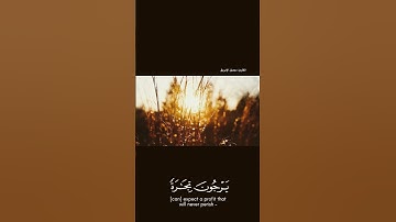تلاوة هادئة لسورة فاطر بصوت جميل الإبريق #qurankareem #اكسبلور #islamicprayer #explore