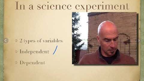 The Independent Variable