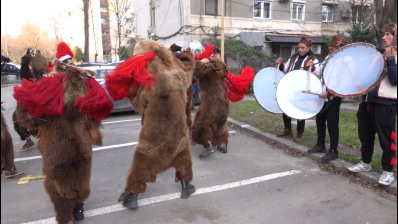 Cartierul tău din Constanţa -Tomis Nord ,lebede pe lac ,obiceiul românesc, dansul urşilor pe litoral