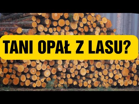 Wideo: Czy modrzew jest dobrym drewnem opałowym?