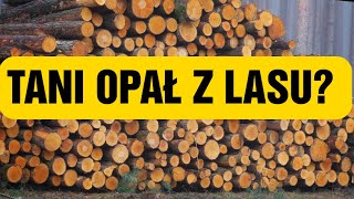 Ile kosztuje drewno opałowe w lesie? || Tani opał z lasu || Okiem ZULa