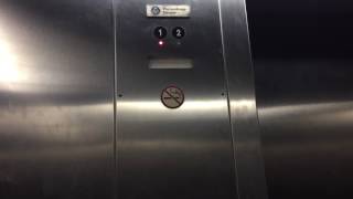Chestnut Hill MA: ThyssenKrupp Hydraulic Elevator @  Showcase Cinemas Super Lux, The Street