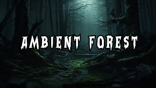 DnD Calm Fantasy Music for Adventure and Exploration  3 Hour Mix for Dungeons  Dragons