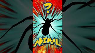 Who&#39;s That ANIMAL?! (ep. 51) #shorts #animals #quiz | Animal Fact Files