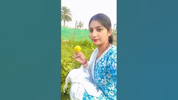funny video #like #comment #share #sotsevideo #sweta kumari