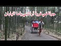 جولة في قرية اراشي ياما قرية قريبة من مدينة كيوتو اليابان
