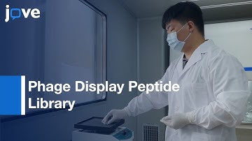 Screening & Identification-Small Peptides Targeting Fibroblast GF Receptor2 l Protocol Preview