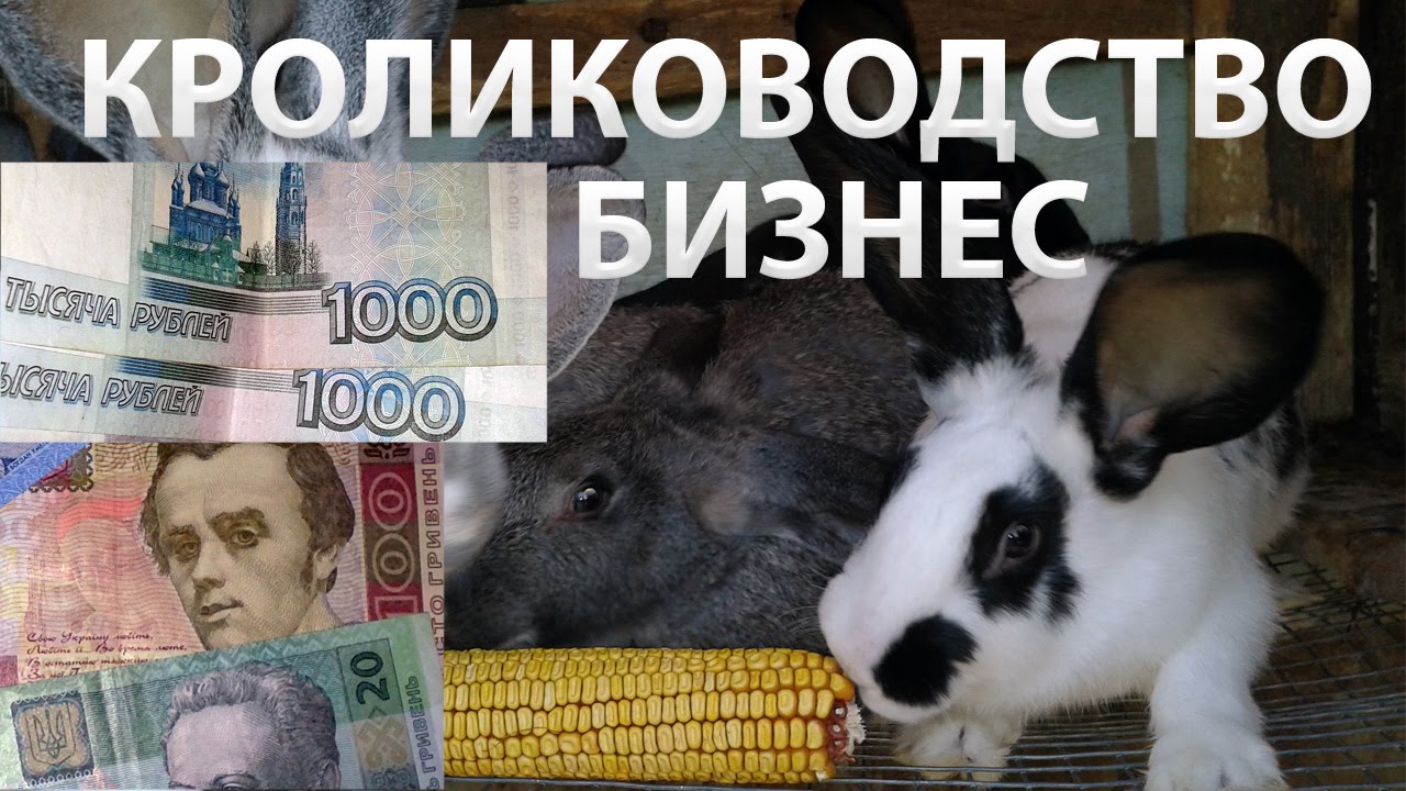 Биогазовые установки для отопления своими руками 85 Биогазовые установки для отопления своими руками 34