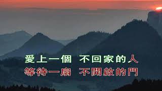 Video thumbnail of "林憶蓮  愛上一個不回家的人 歌詞"