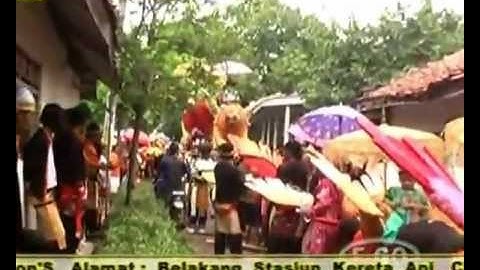 DAGANG KANGKUNG   SINGA DANGDUT ANDI PUTRA   BONGAS