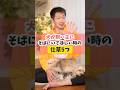 犬が飼い主にそばにいて欲しい時にすること5選#犬のいる暮らし#愛犬 #dog