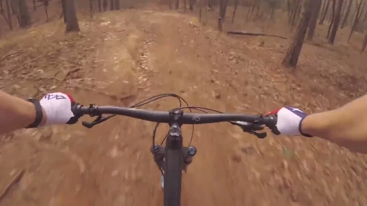 Tyler State Park MTB