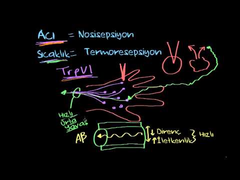 Acı Ve Sıcaklık