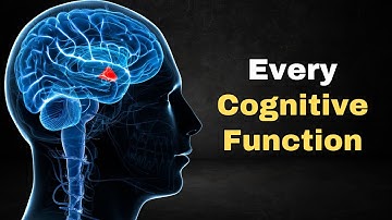 Every Cognitive Function Explained in 4 Minutes