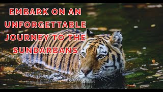 Embark on an unforgettable journey to the Sundarbans