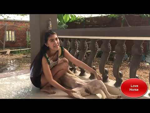 Lovely smart girl Playing Baby Cute Dogs On Rice Fields How to play with dog & Feed baby dogs P1