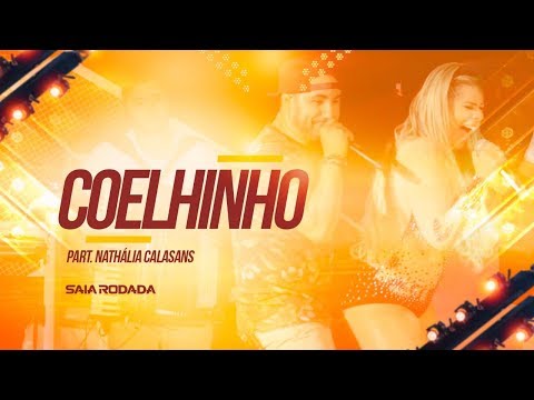 Vídeo: Como Uma Coelhinha Encontra Seu Coelhinho