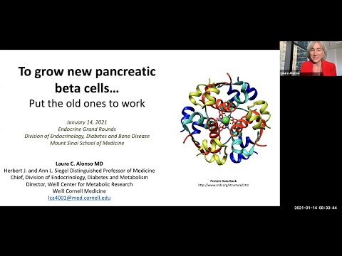 To Grow New Pancreatic Beta Cells... Put the Old Ones to Work