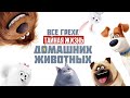 Все грехи и ляпы мультфильма "Тайная жизнь домашних животных"