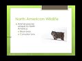 North America's Diverse Landscapes and Historical Highlights