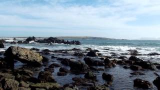 PUNTA DE CHOROS
