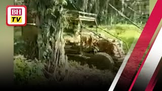 Lori Misteri Bergerak Tanpa Pemandu