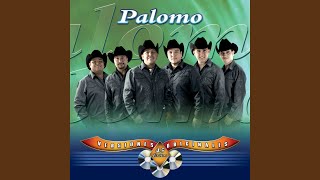 Video thumbnail of "Palomo - No Me Queda Más"