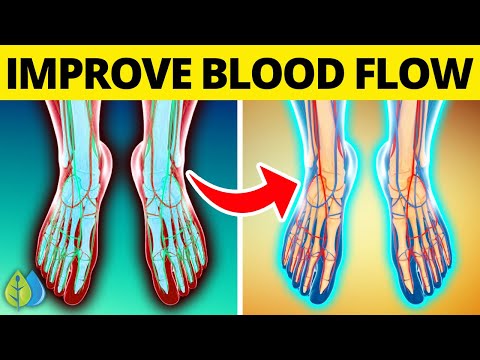 Top 10 Foods that Improve Blood Circulation in Legs | Increase Blood Flow in Legs &amp; Feet