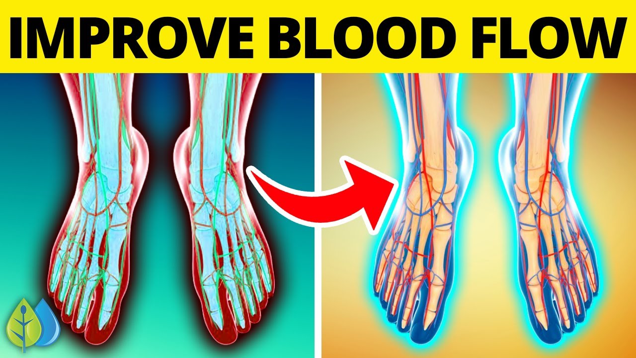 Top 10 Foods that Improve Blood Circulation in Legs