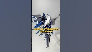 Transform HG Rising Freedom Gundam #gundam #opening #gunpla #gunplacommunity #gundamseedfreedom