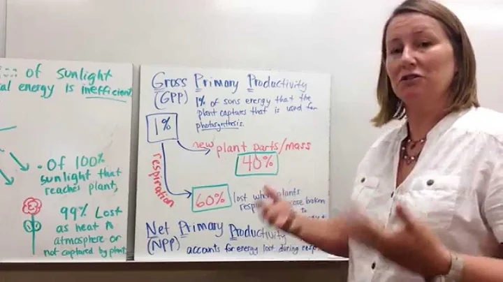 Ecosystem Productivity