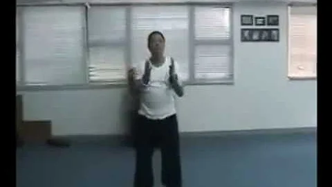 譚永安 演綀全套工字伏虎拳