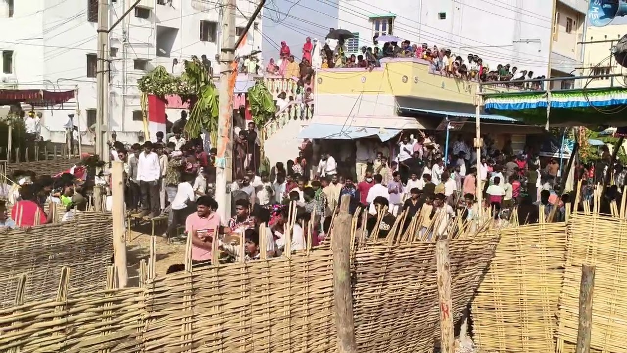 #chandragiri #love  lo jalli kattu festival#travel