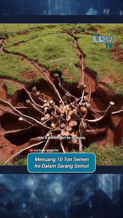 Pouring 10 Tons of Cement Into an Ant Nest
