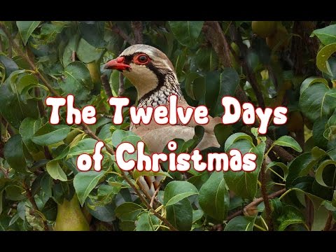 🎄What are the Twelve Days of Christmas?🎄 Instructional Video 🎄What are the Twelve Days of Christmas?🎄 Instructional Video