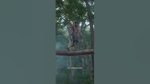 #DaakkoDaakkoMeka #ytshorts #status #pushpa #video