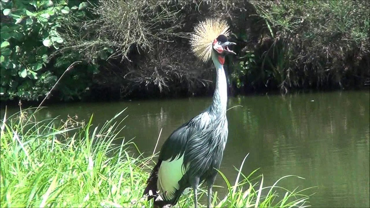 Dolina Charlotty k.Ustki .Wodne ZOO Safari i Fokarium.