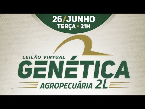 Lote 32 (Jeciara - PRI 2111 / Jara FIV - PRI 2019)