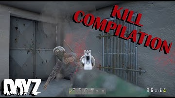 A DAYZ KILL COMPILATION